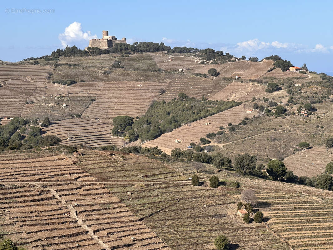 Terrain à PORT-VENDRES