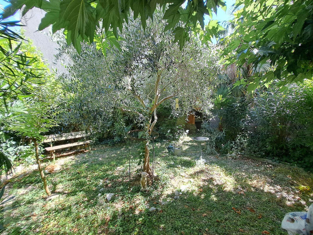 Maison avec terrain 2 ha - photo 12