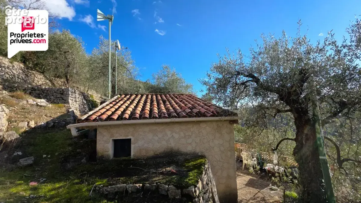 Magnifique Oliveraie et forêt avec Cabanon en vallée de la Siagne 16190 m2 - photo 8