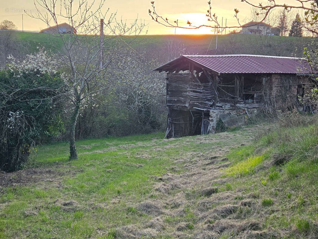 Maison à LES ALBRES