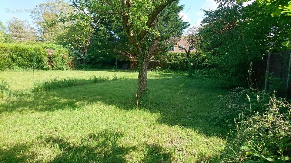 Terrain à VILLEVAUDE