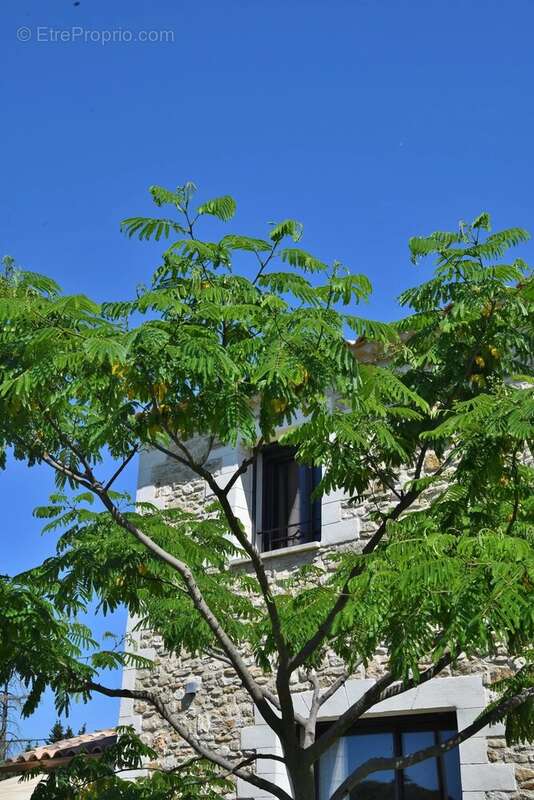 Maison à UZES