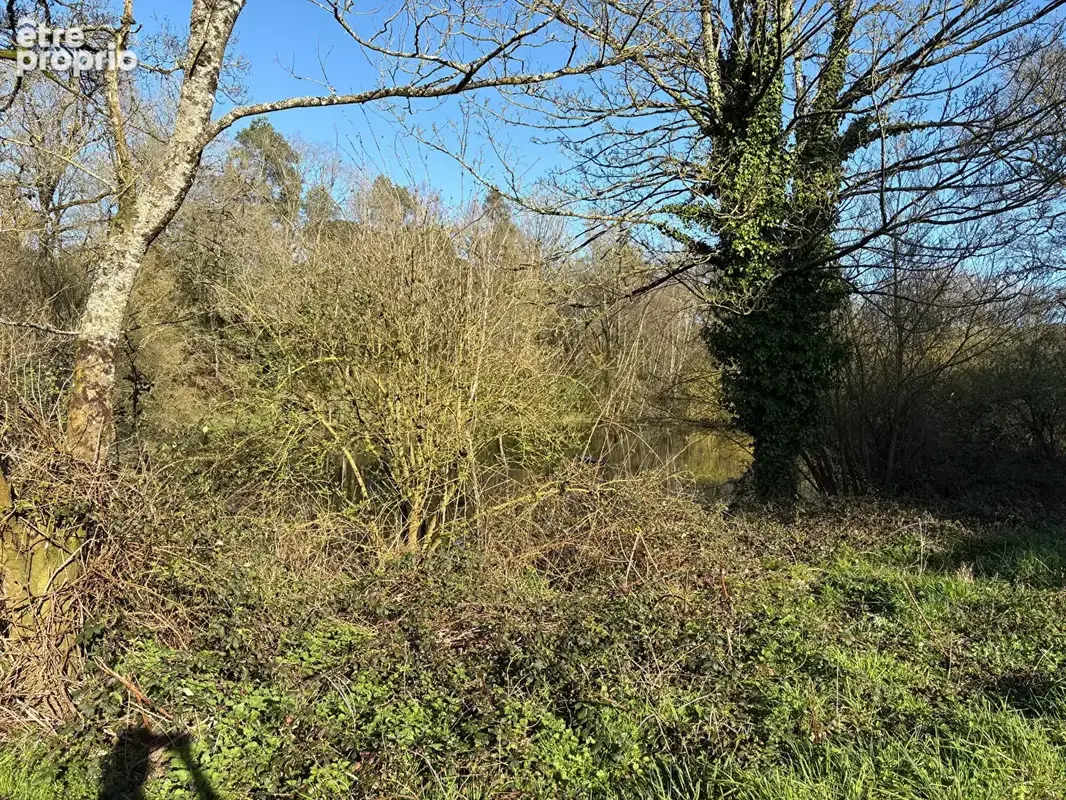 A vendre Bignan propriété d'exception à rénover, chaumière d'environ 260m², terrain d'environ 6 hectares - photo 4