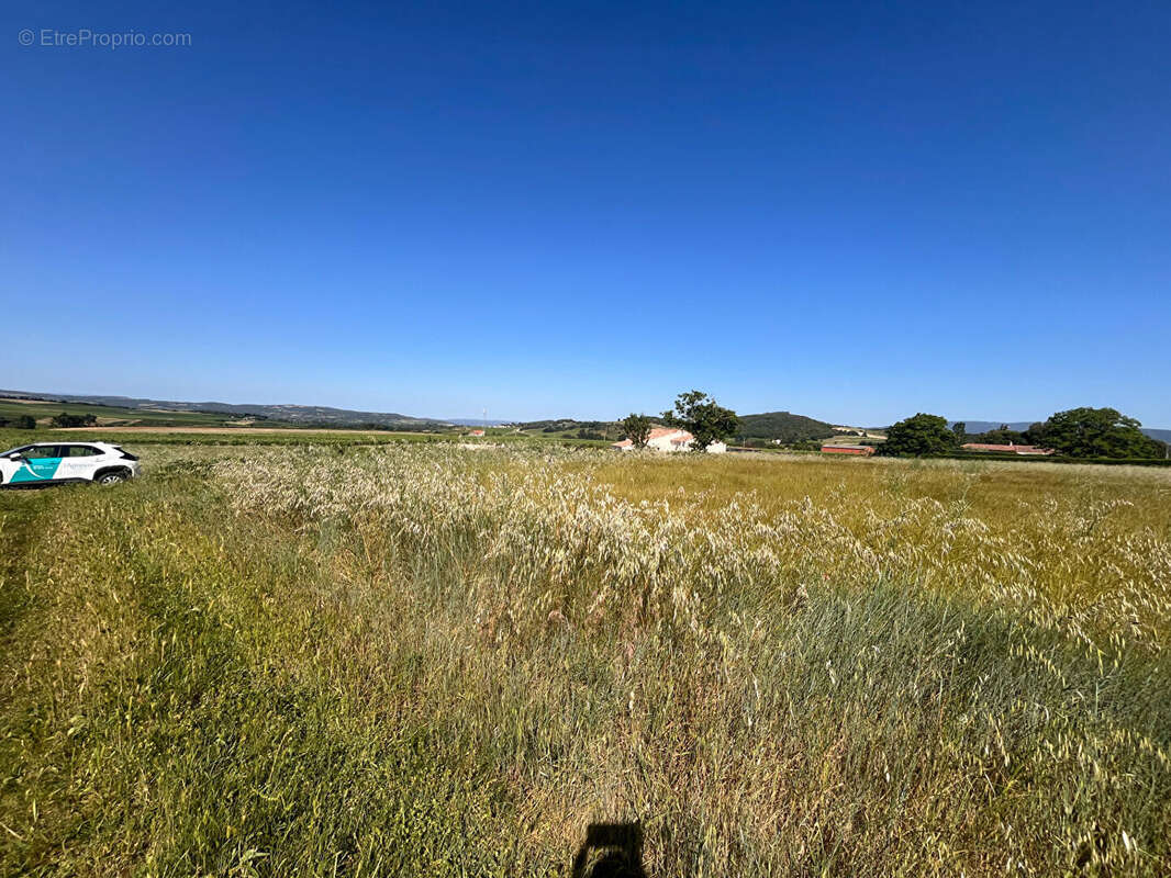 Terrain à PAULIGNE