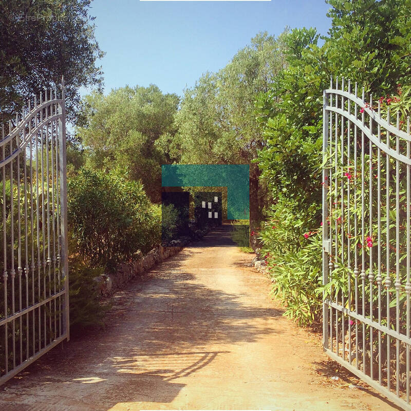 Terrain à MONTPELLIER