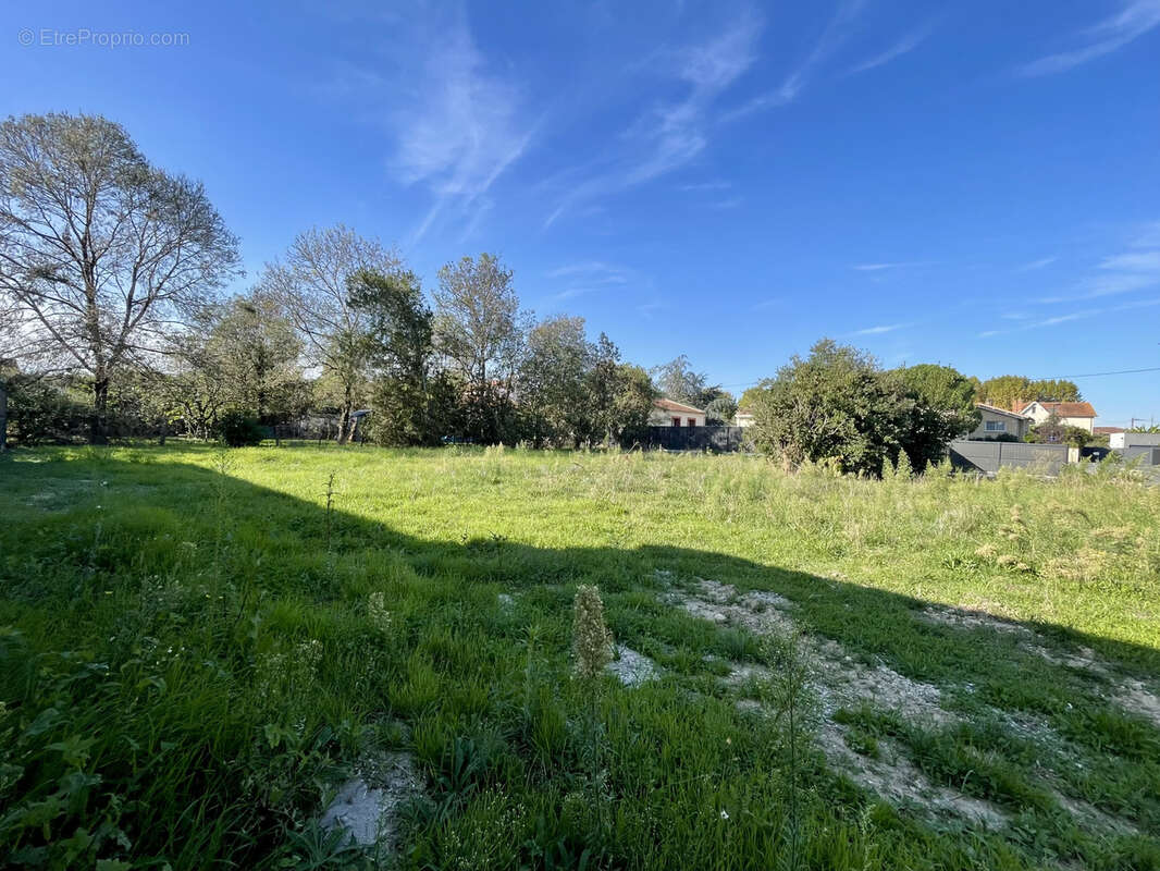 Terrain à LAVAUR
