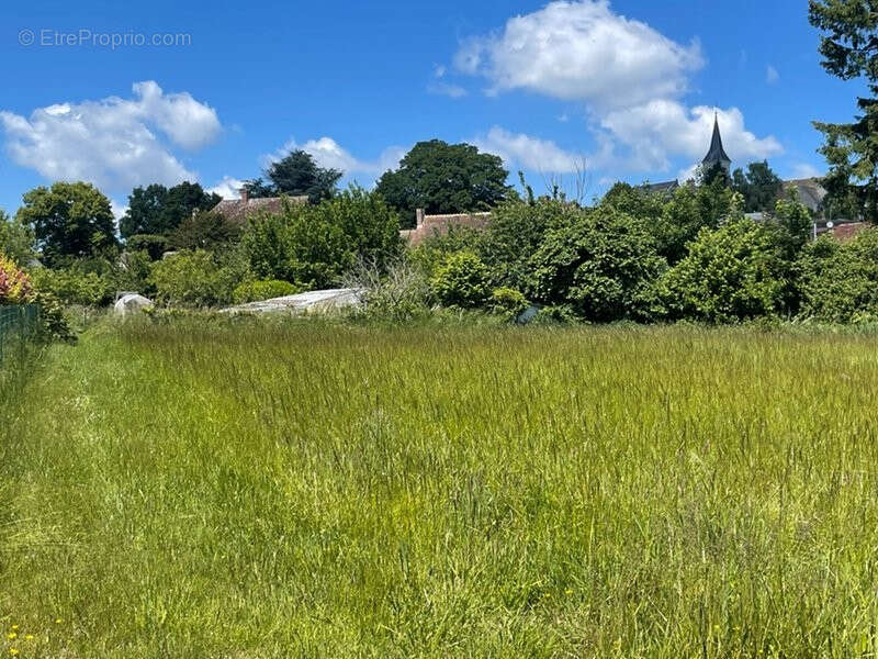 Terrain à AUTHON-DU-PERCHE