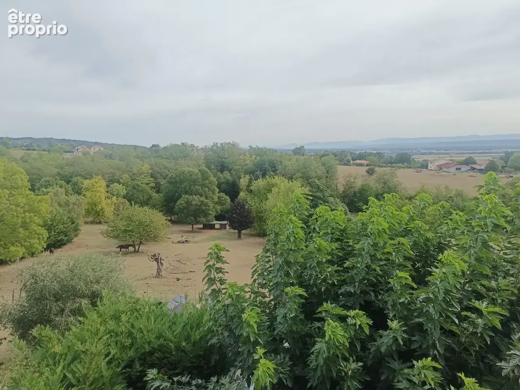 SONNAY !!! Maison 100 m2 habitables environ avec sous-sol, 13 000 m2 de terrain - photo 4
