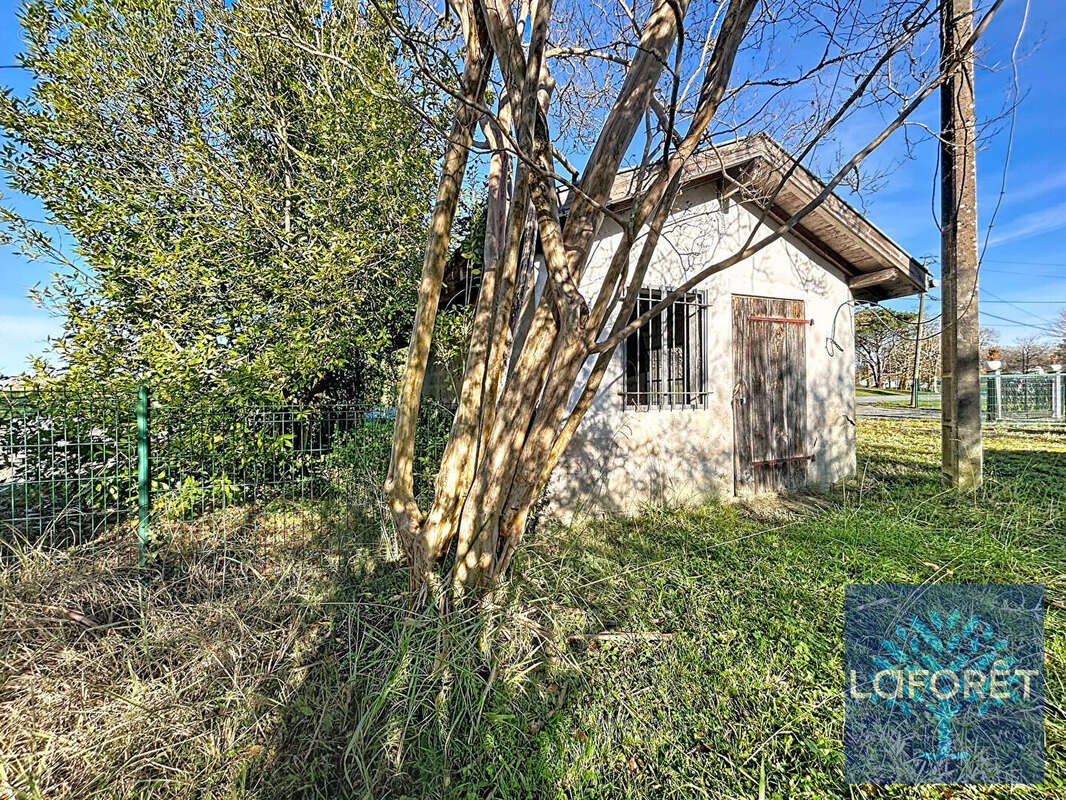 Commerce à TERCIS-LES-BAINS