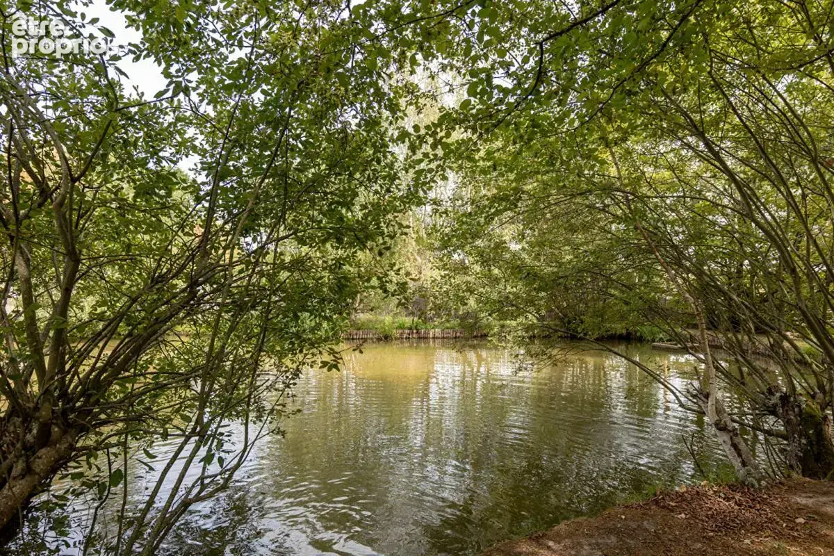 Lieux uniques ® x propriétés privées ® propriété de 169 m² sur 3.762 m² - dhuizon - piscine-pièce d'eau - photo 8