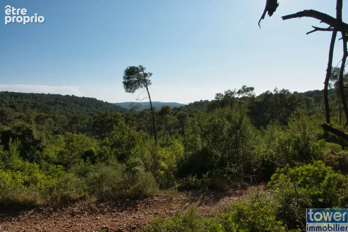 Fabrezan-Terrain 4 ha non constructible en Zone Naturelle - photo 18