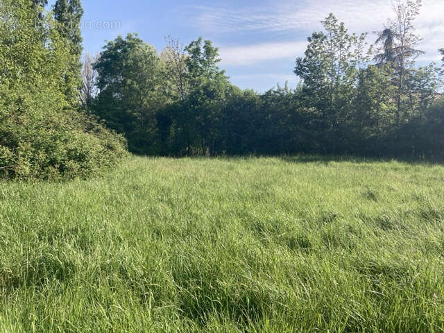 Terrain à SAINT-JEAN