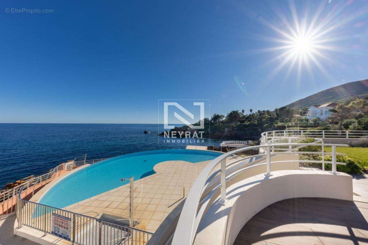 Magnifique t3 en duplex refait a neuf - pieds dans l'eau - photo 15