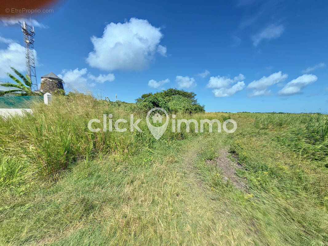 Terrain à PORT-LOUIS