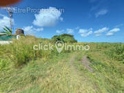 Terrain à PORT-LOUIS