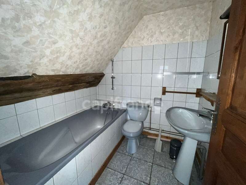 Propriété à vendre 13 pièces TANNERRE EN PUISAYE (89) - photo 10