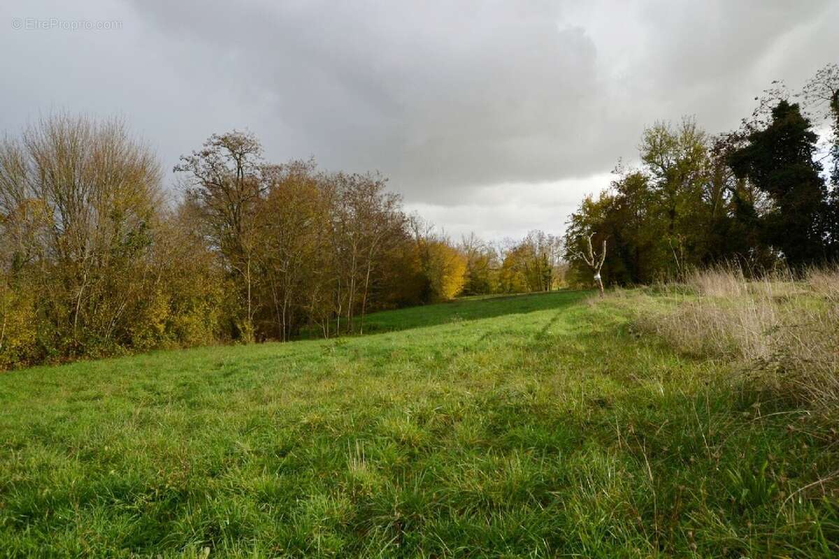 Terrain à ALLEMANS-DU-DROPT