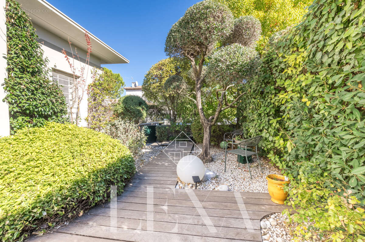 Maison à MONTPELLIER