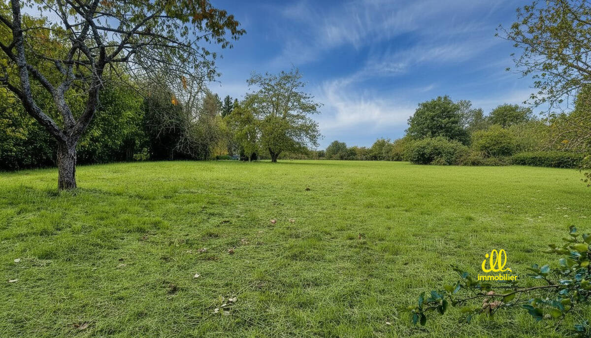 Terrain à MESSINCOURT