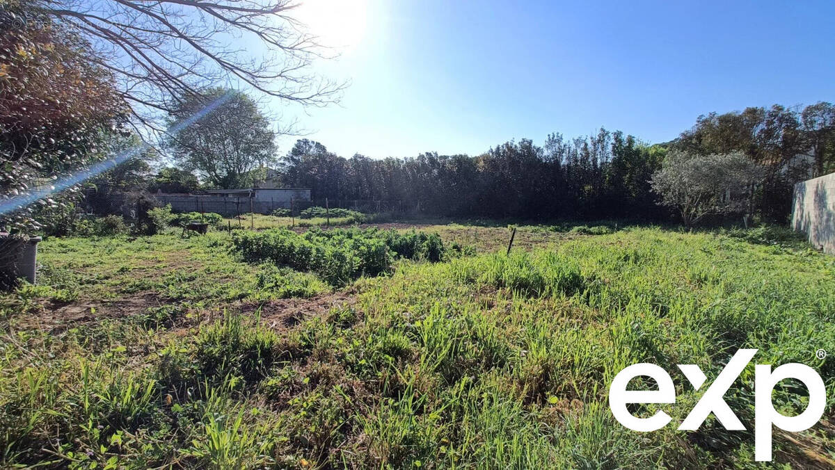 Terrain à LIGNAN-SUR-ORB