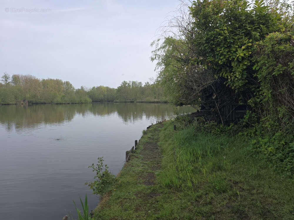 Terrain à CONDE-FOLIE