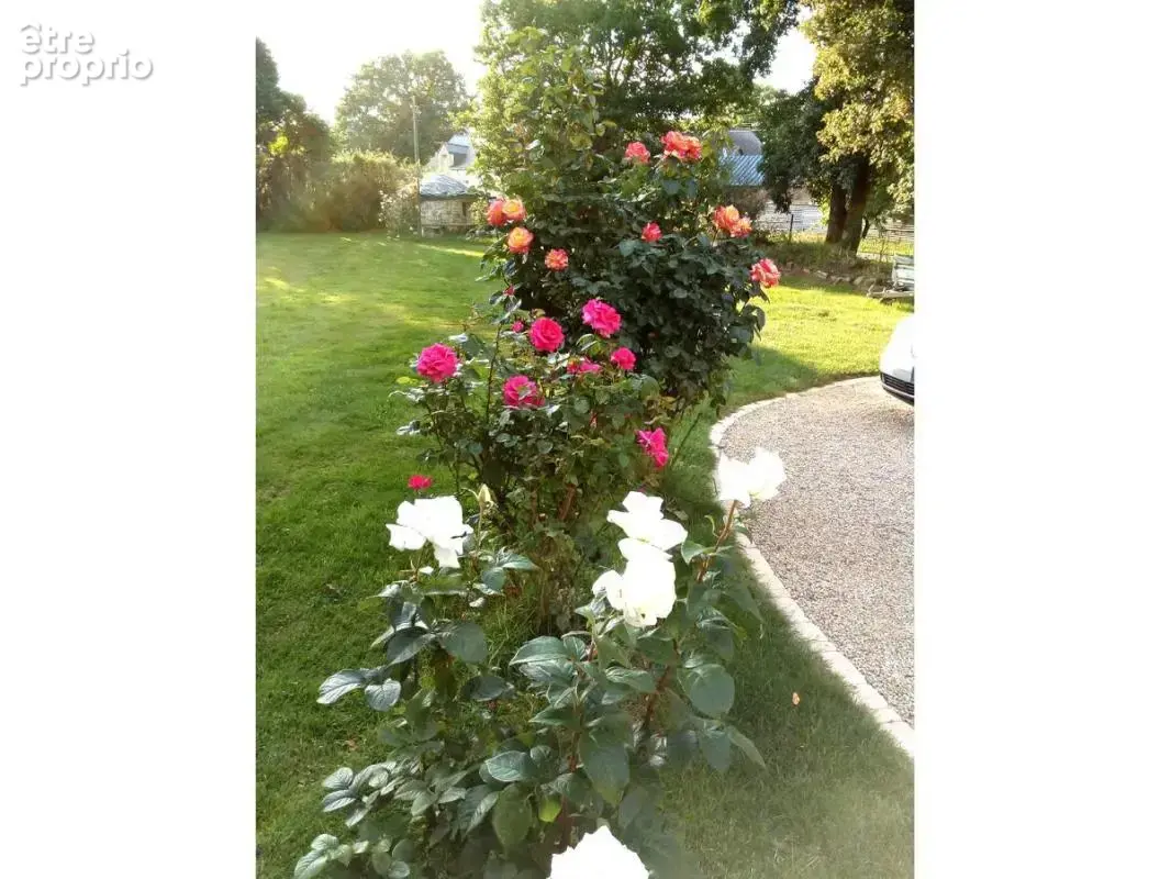 Maison 5 pièces 144 m² à vendre à Saint-Aubin-Des-Chateaux (44110) - photo 13