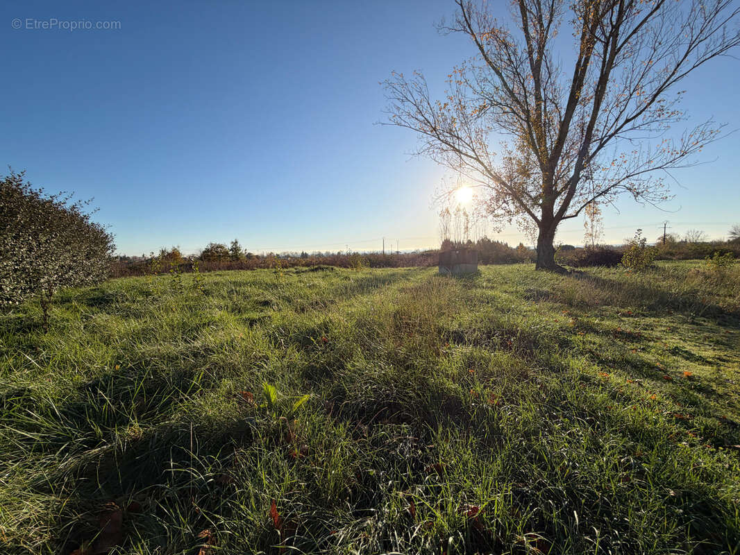 Terrain à RABASTENS