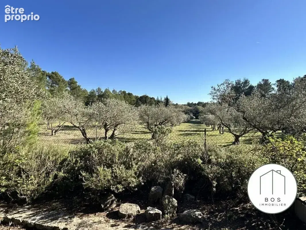 Votre Mazet au coeur des Alpilles - photo 7