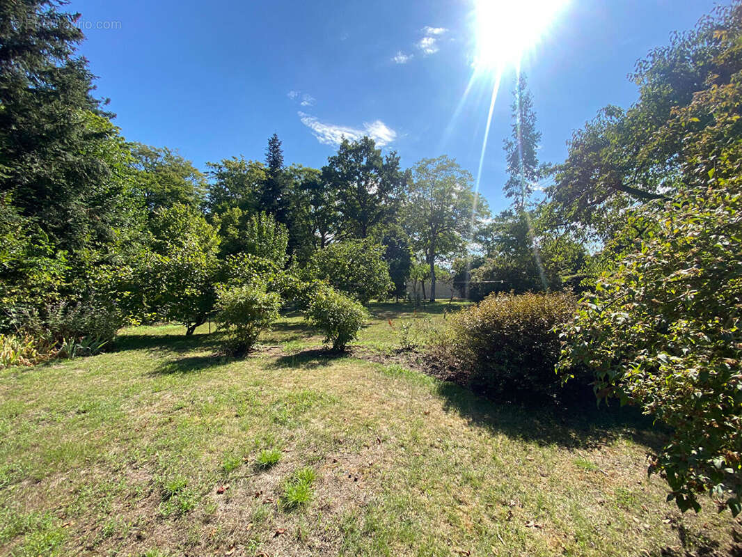 Terrain à OLIVET