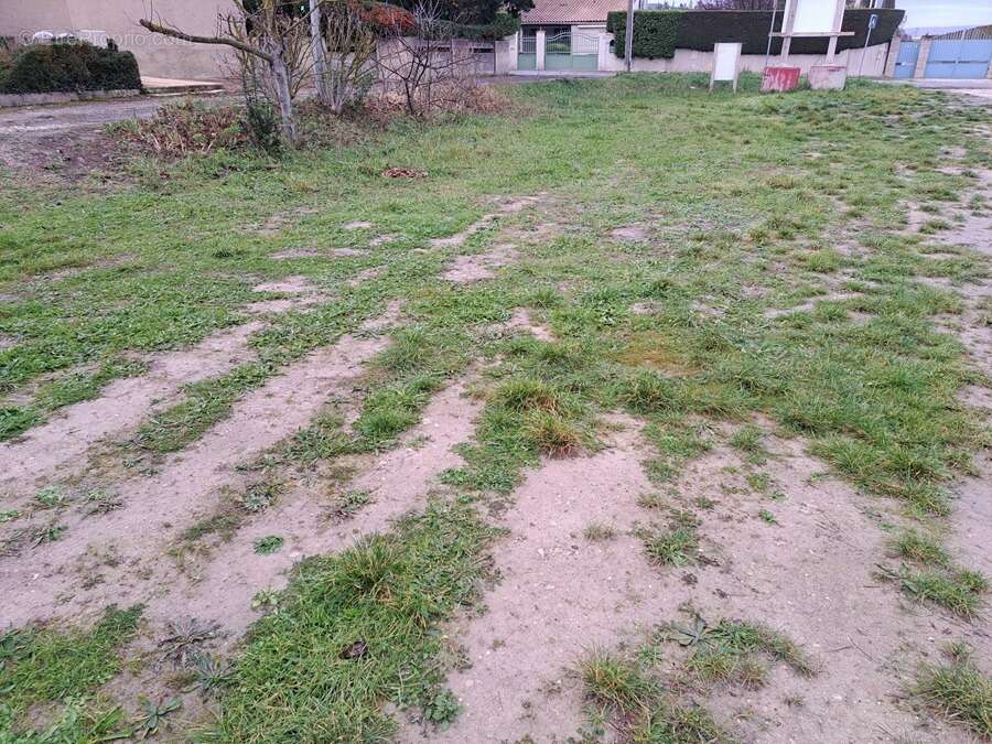 Terrain 300 m² à Le Puy-Sainte-Reparade  - photo 3