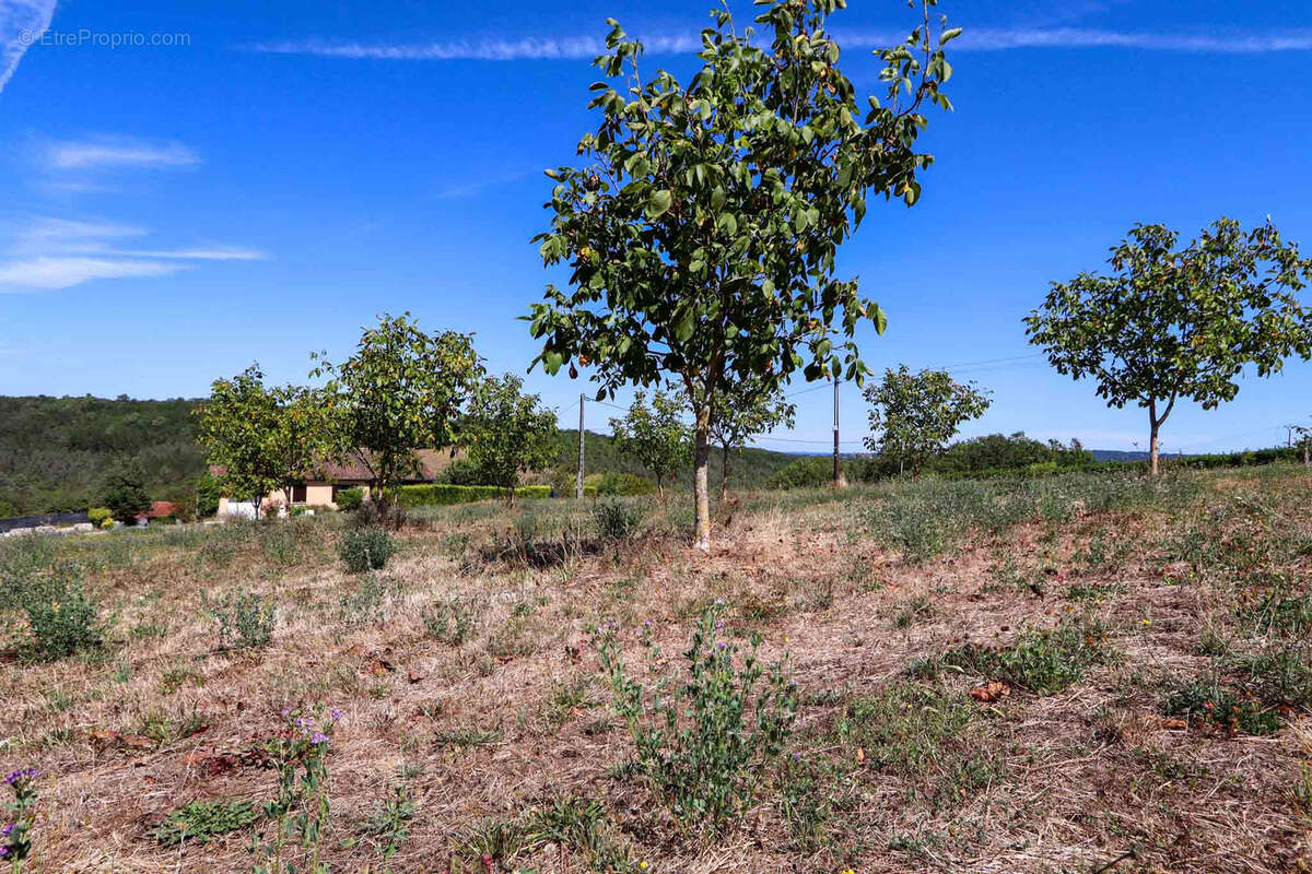 Terrain à SARLAT-LA-CANEDA