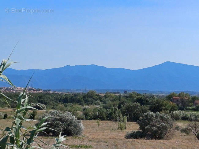 Terrain à PERPIGNAN