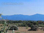 Terrain à PERPIGNAN