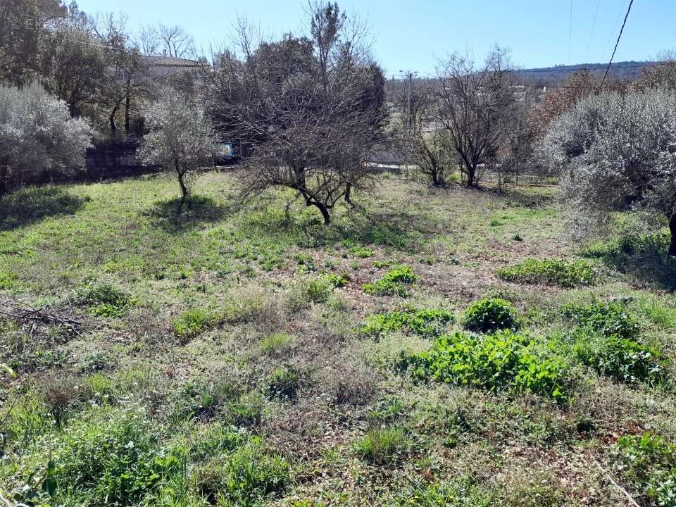 Terrain 650 m² à Brignoles  - photo 2
