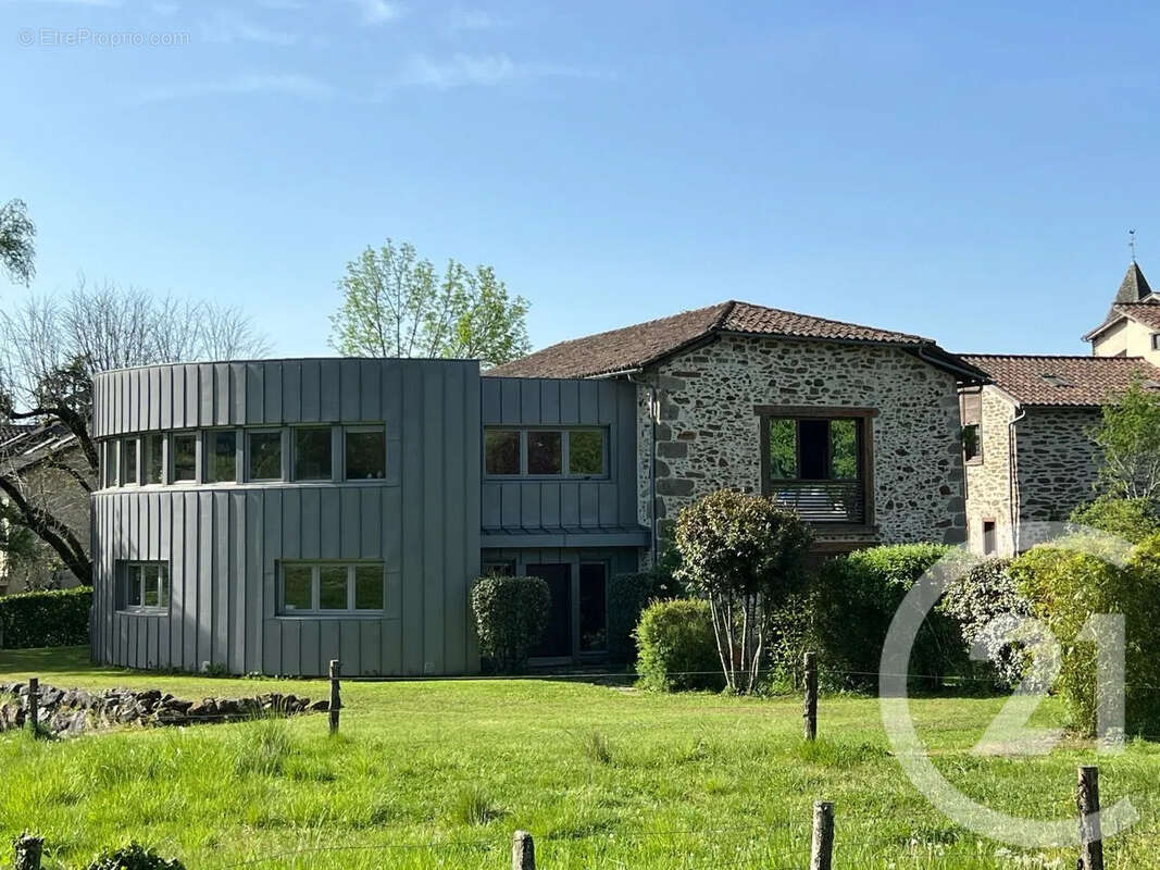 Maison 267 m² à Saint-Etienne-De-Maurs  - photo 8