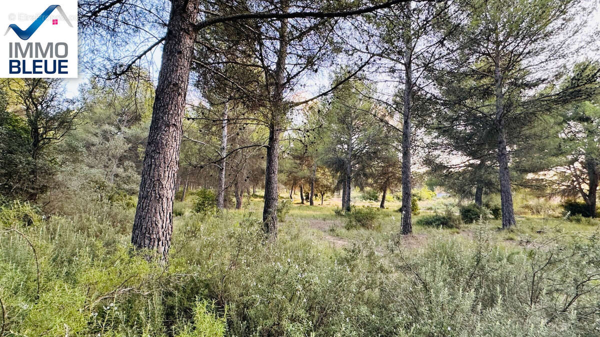 Terrain à SAINT-MITRE-LES-REMPARTS