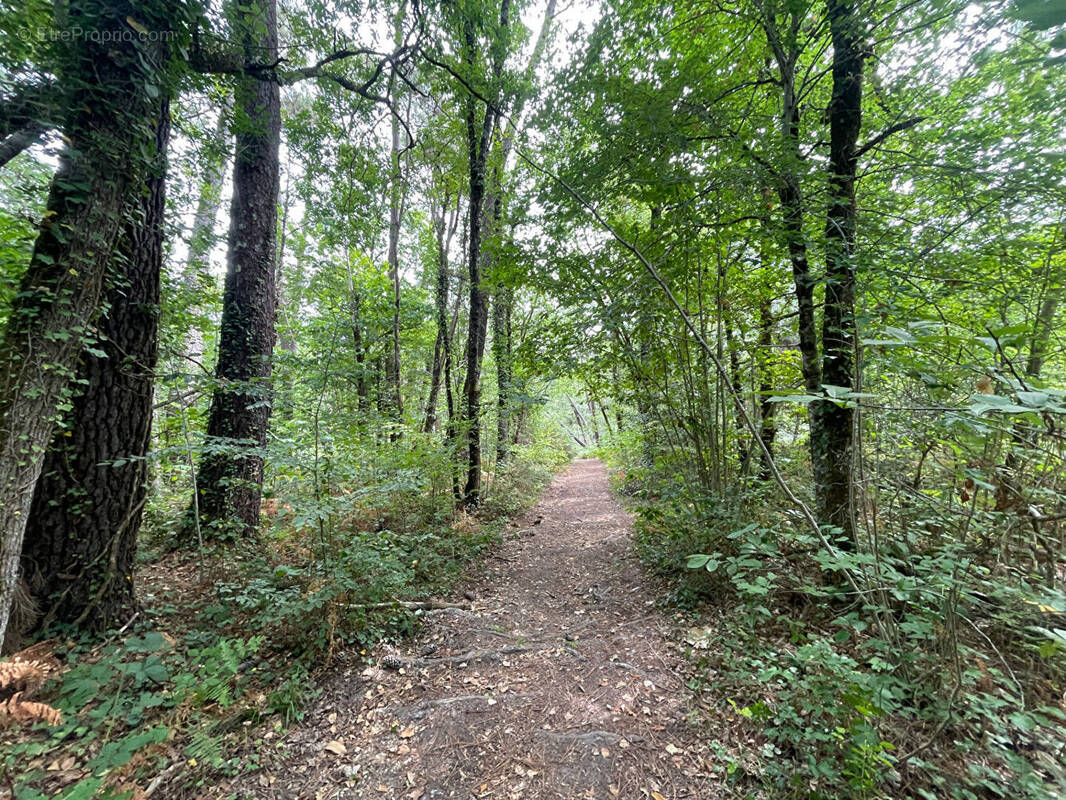 Terrain à PERIGUEUX
