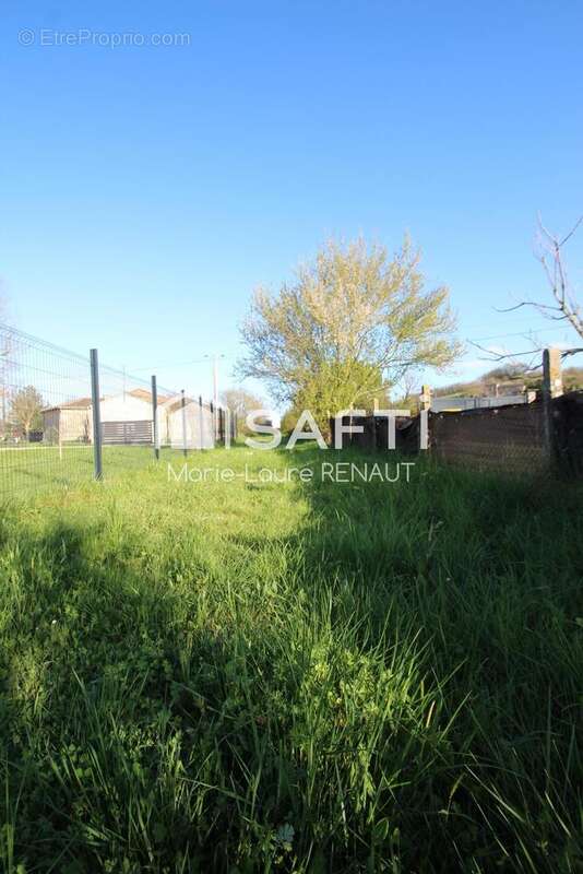 Photo 6 - Terrain à GRAULHET