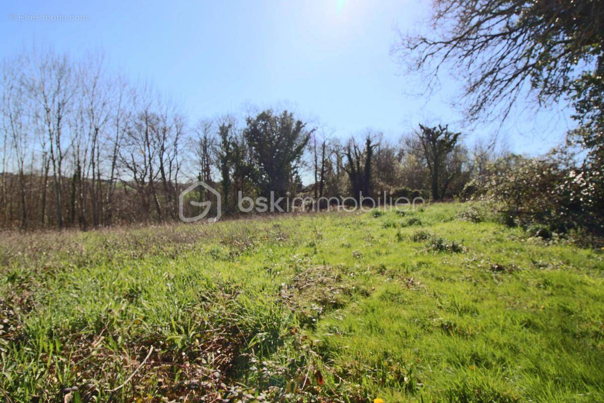 Terrain à MAZEROLLES