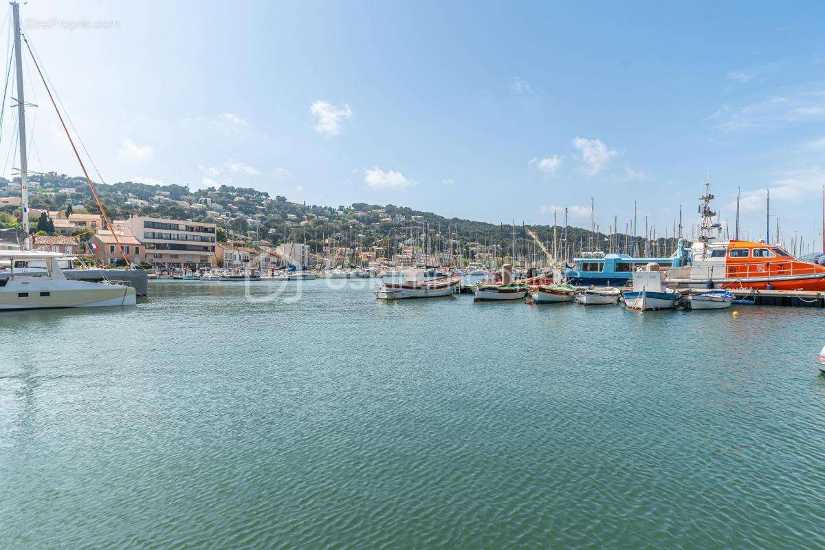 *** brasserie licence iv - port de st mandrier - clientele fidele a l'annee + fort potentiel *** - photo 9