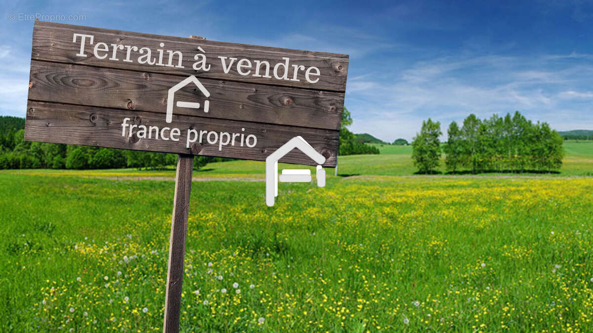 Terrain à MONTRABE