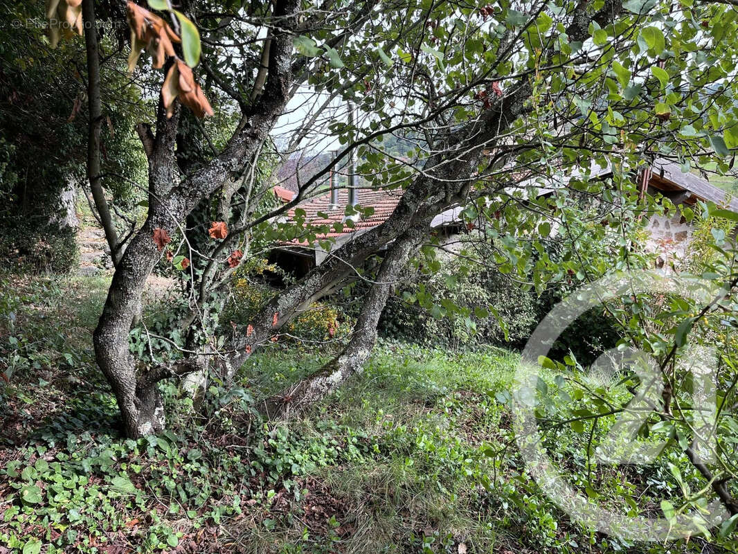 Maison à SATILLIEU