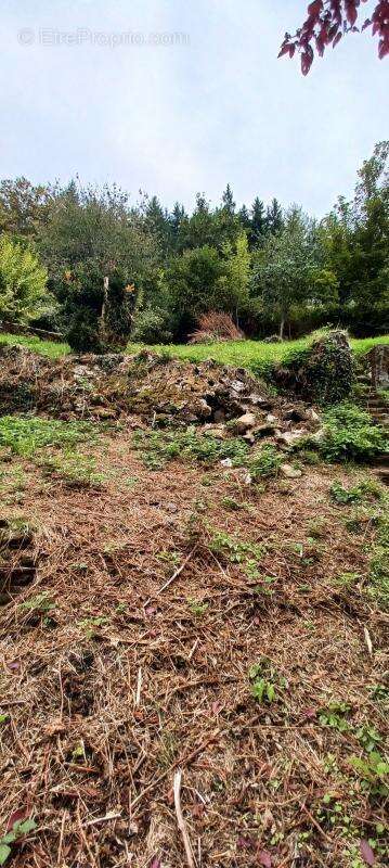 Maison à CHAUDES-AIGUES