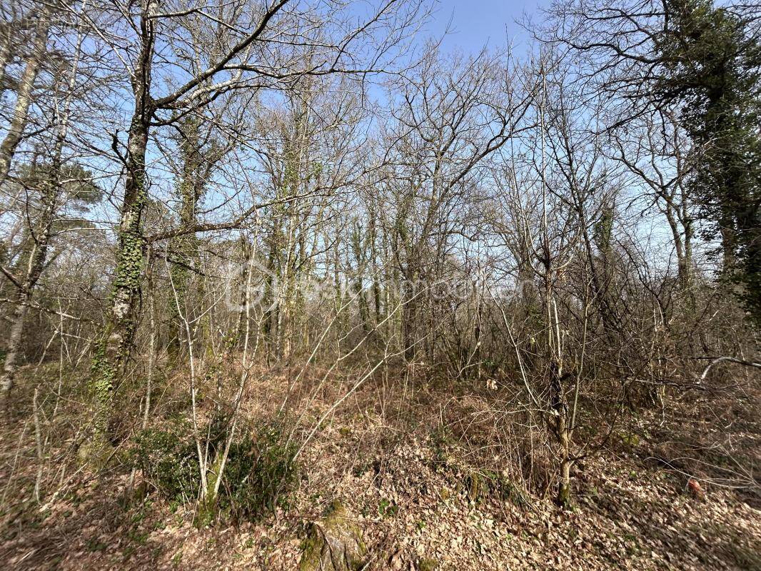Terrain à LA CLOTTE