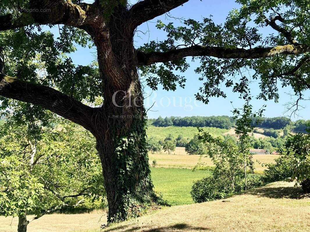 Près d'Eymet - Magnifique château de 5/6 chambres, sur un terrain de 1,6 hectare - photo 27