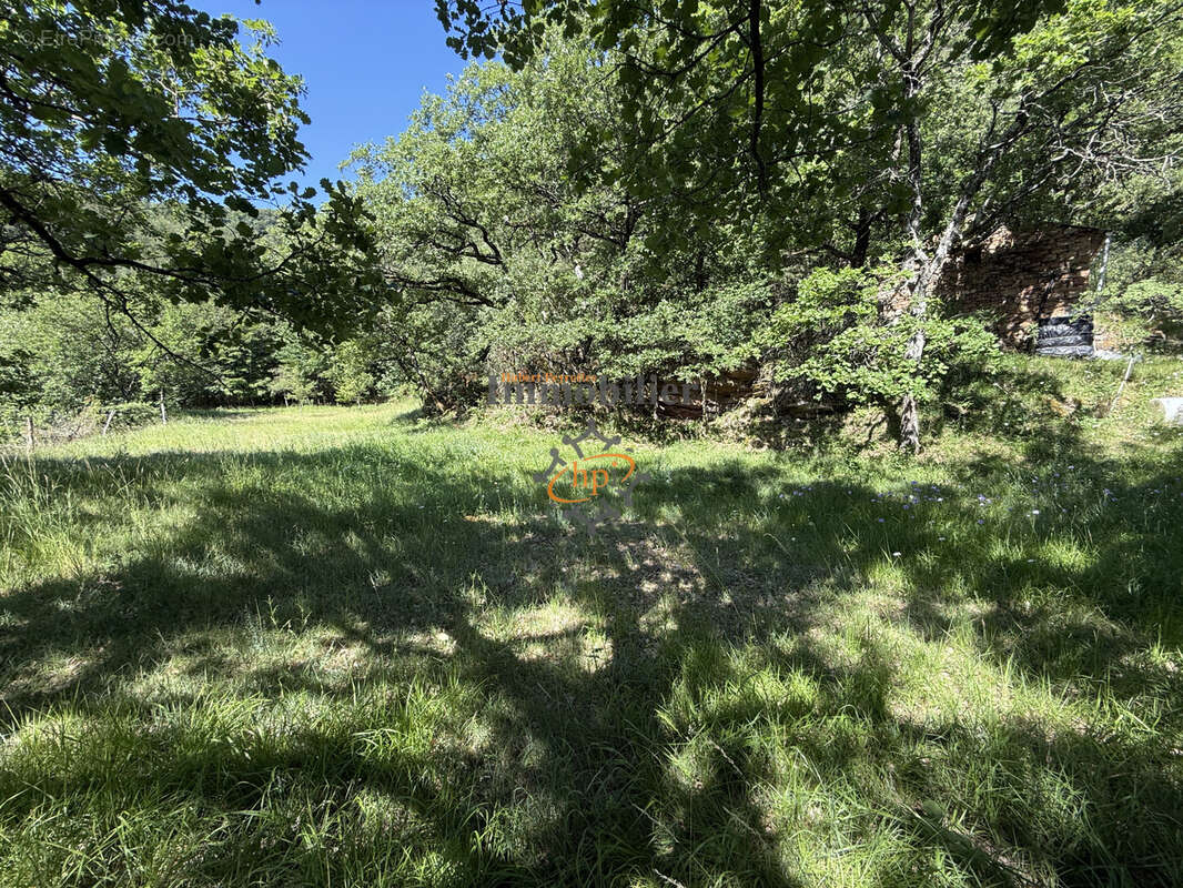 Vente Mazet Versols et Lapeyre, 1,25 hectares de terrains - photo 19