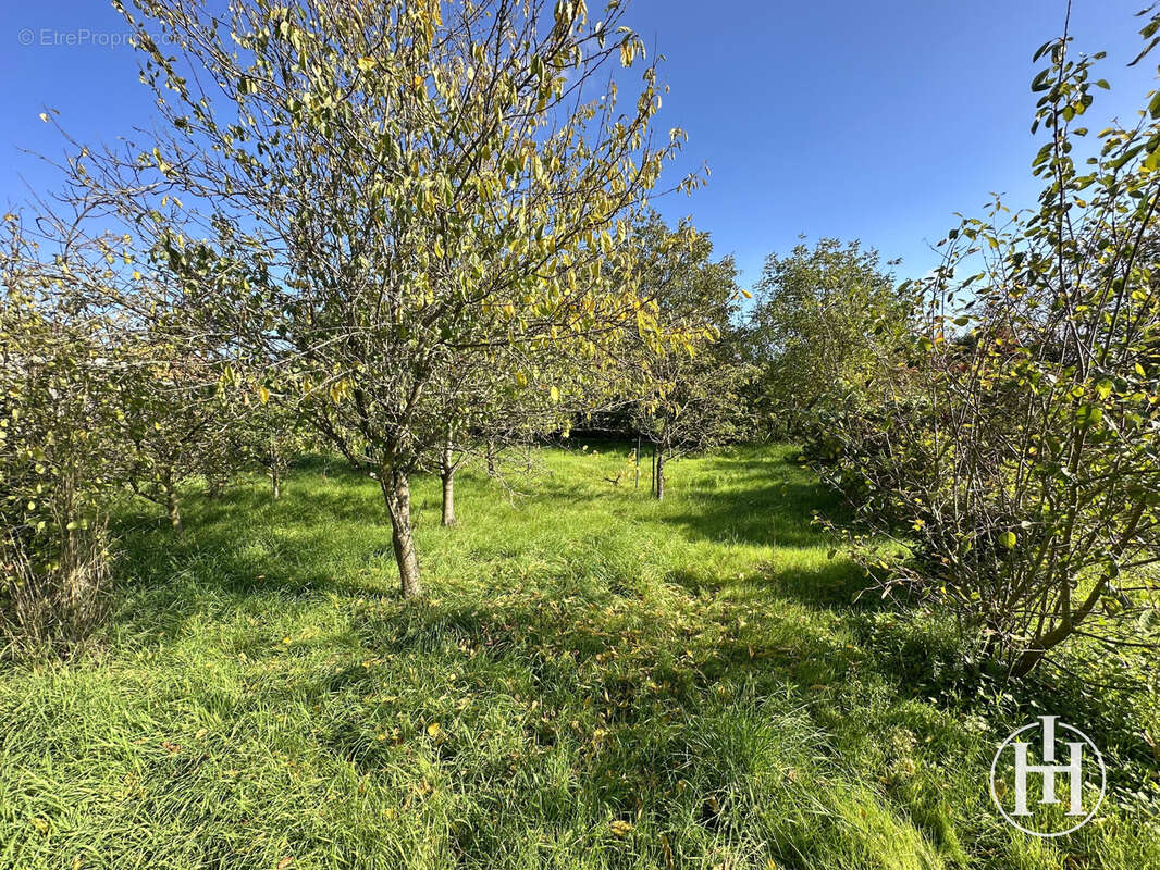 Maison à MONTLEVICQ