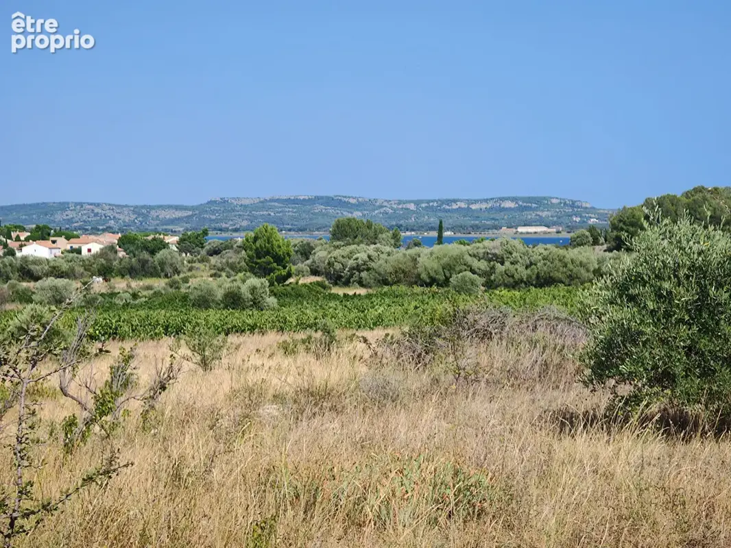 Terrain agricole de 1.23 hectares ! - photo 3