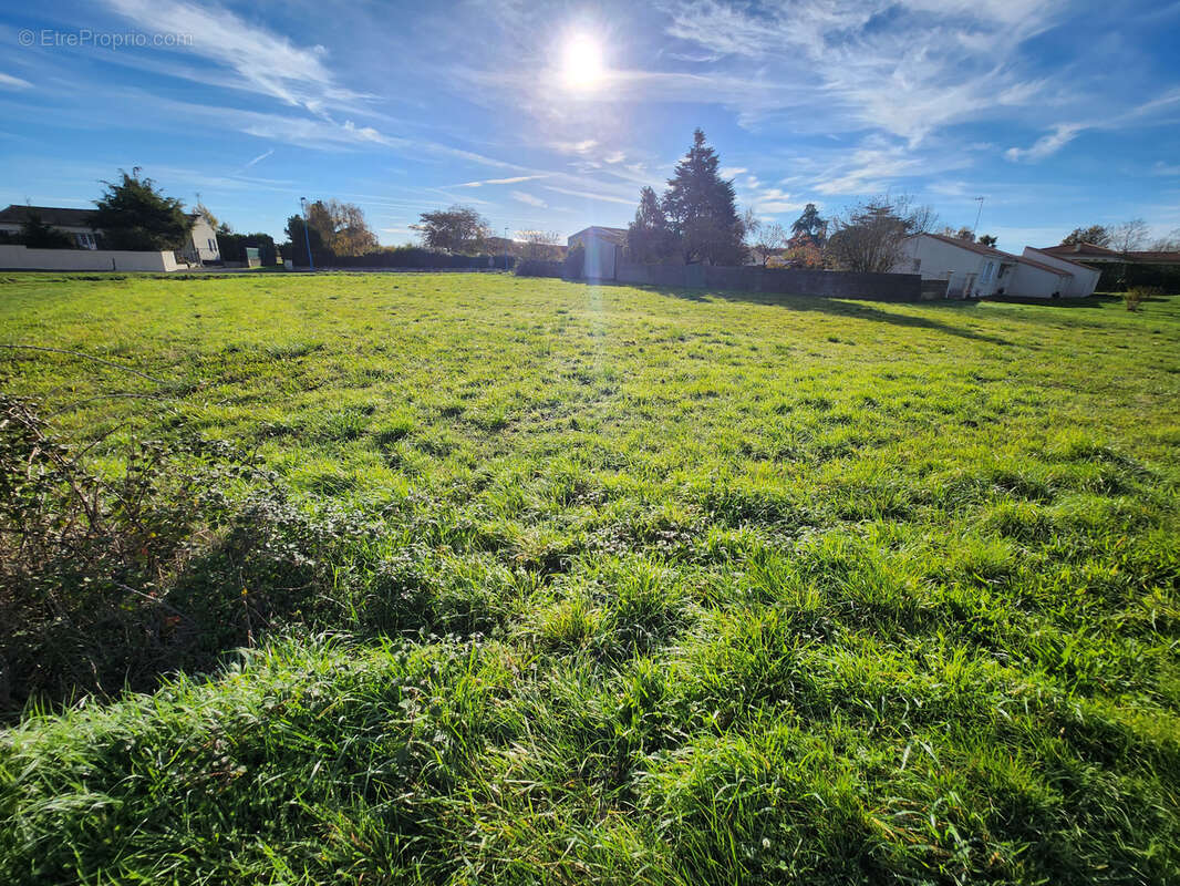 Terrain à LES MAGNILS-REIGNIERS
