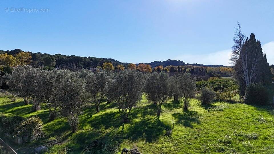 Terrain à MAS-BLANC-DES-ALPILLES